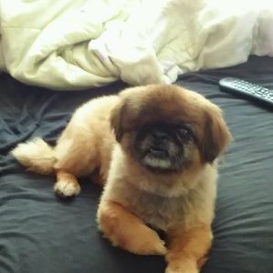 Meet your Posher, Joseph